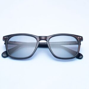 Brown Classic Wayfarer Sunglass