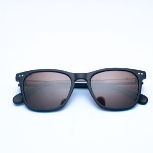 Black Brown Lens Classic Wayfarer Sunglass